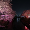 　夜のかお