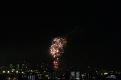 hanabi1