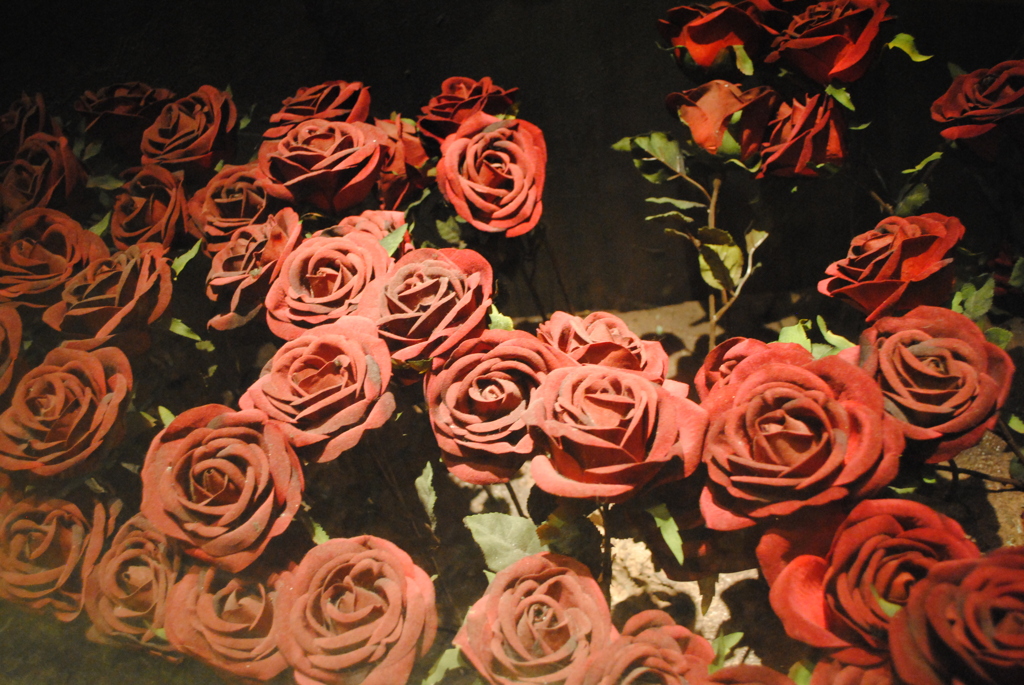 閉じ込められたバラ