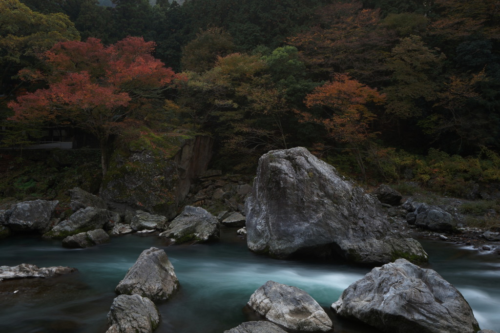 青流に紅