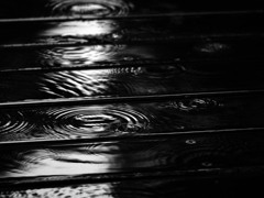 rain ripples 