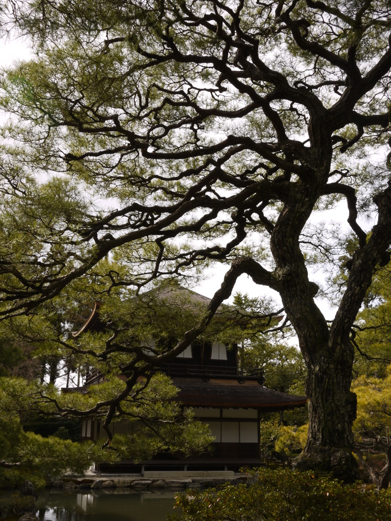 GINKAKU