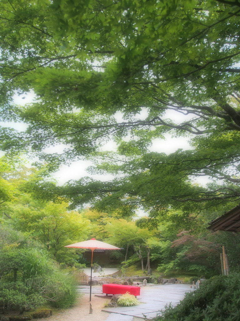 茶席のある寺