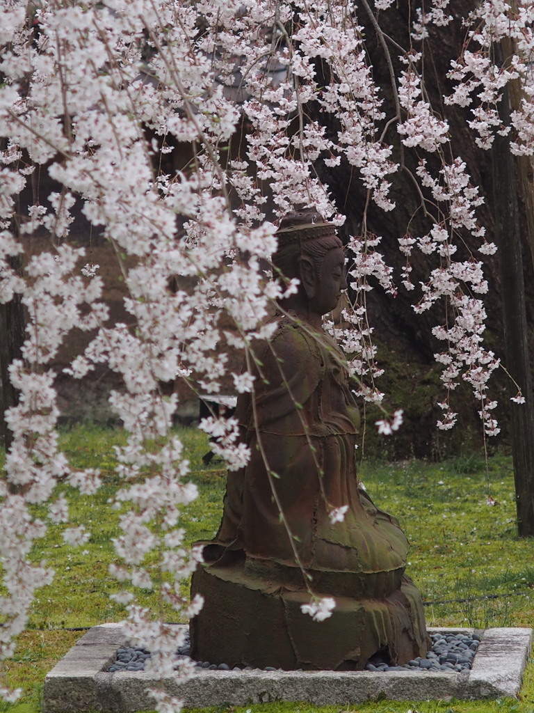 花光背