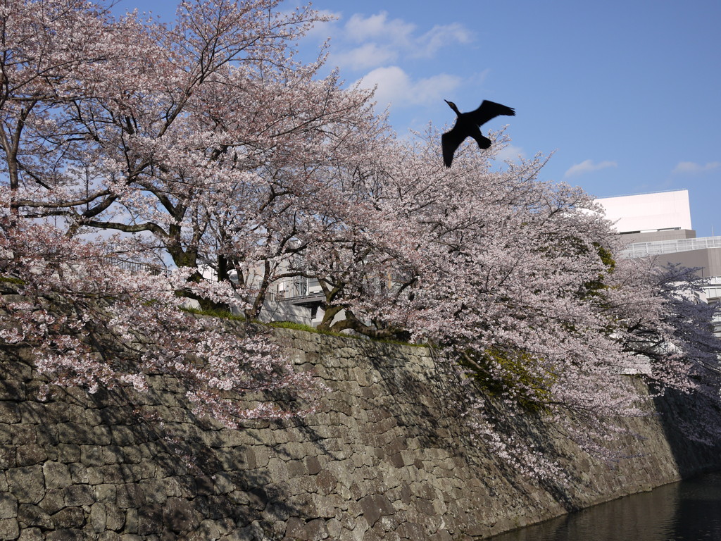 香りに誘われて