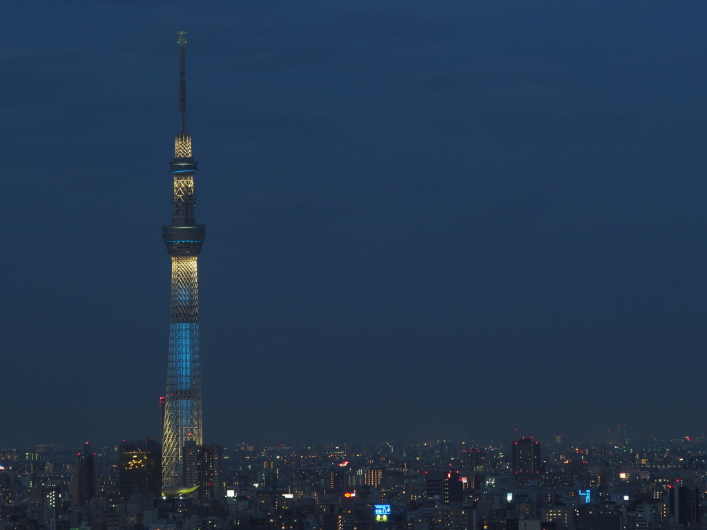 Blue Light Tokyo