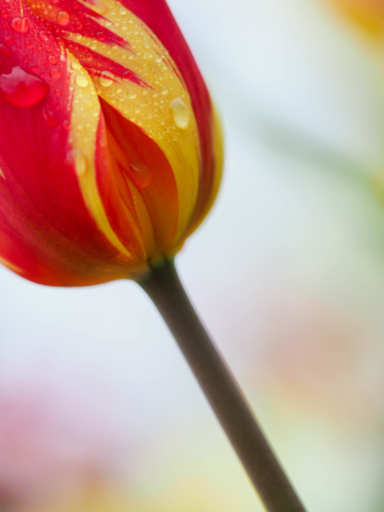 For you