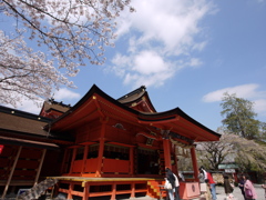 桜晴れ