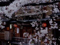 花見御膳
