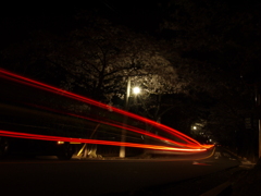夜桜ドライブスルー
