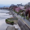 鴨川流れ陽は翳る