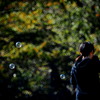 circle world