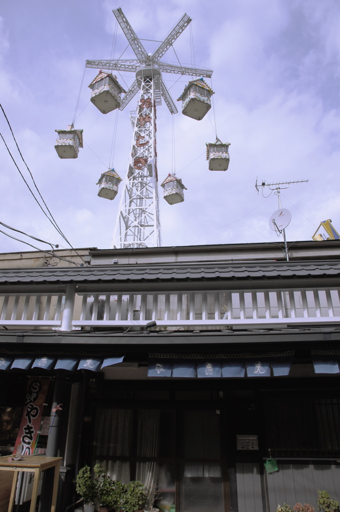 裏庭は遊園地