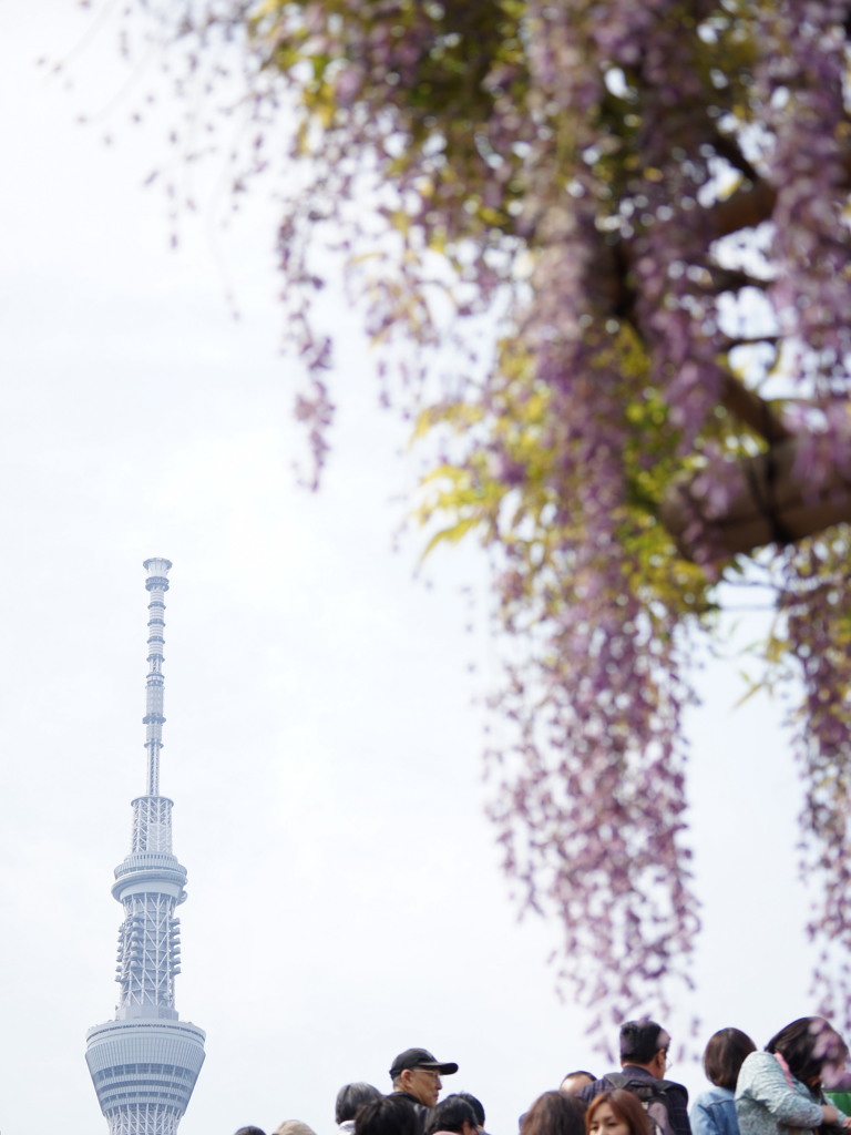 藤見天神