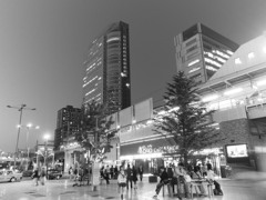 20年後の追憶