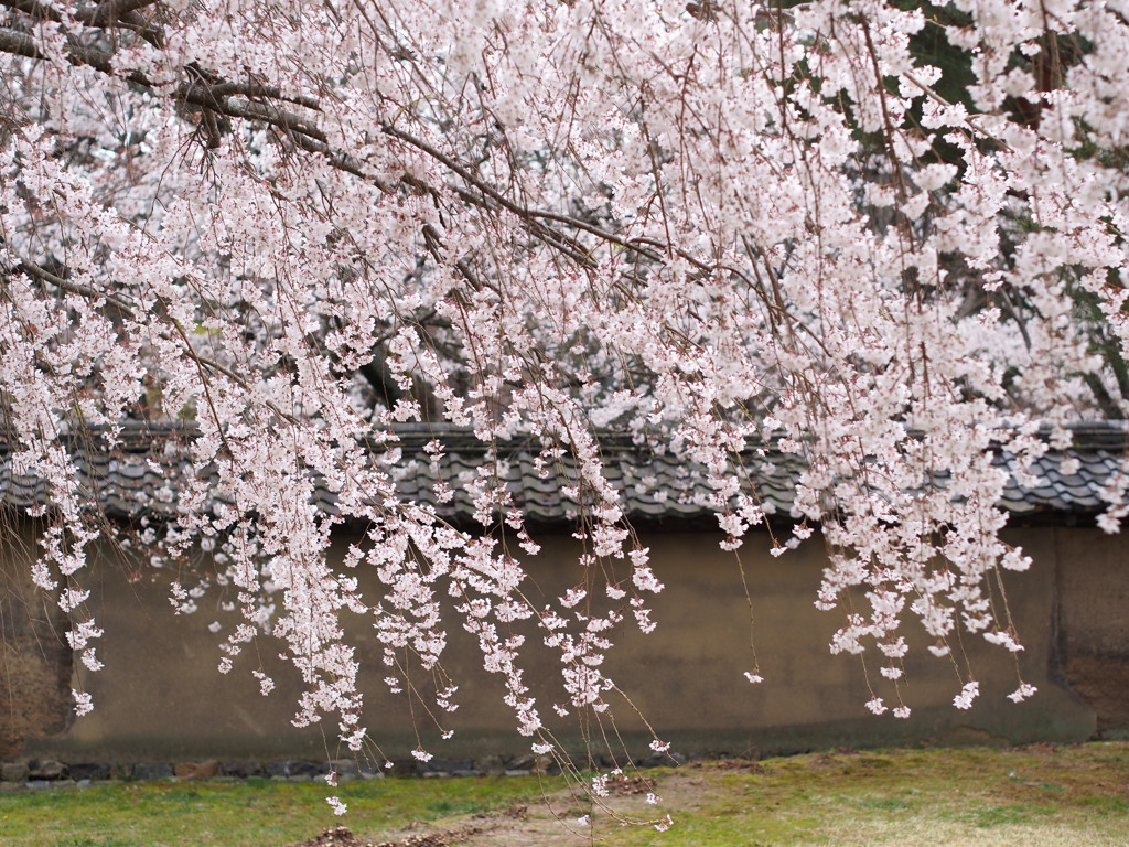 永遠に