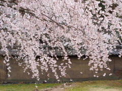 永遠に