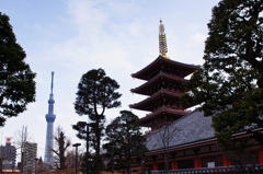 新旧塔比べ