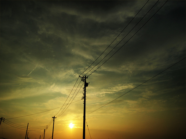 20110728_1
