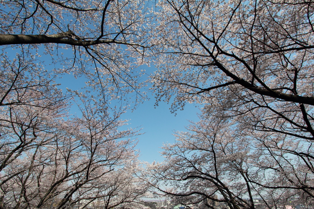 空を覆う