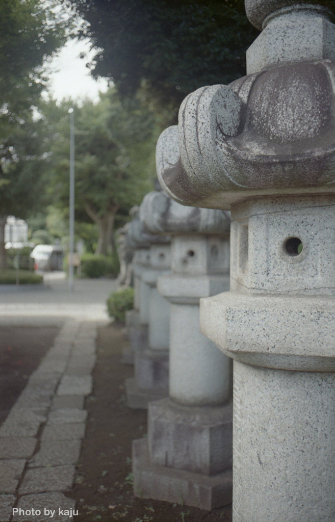 灯籠