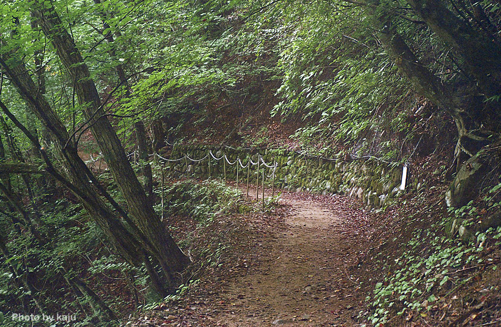 山道