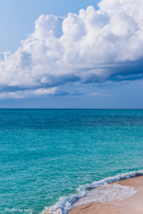 海