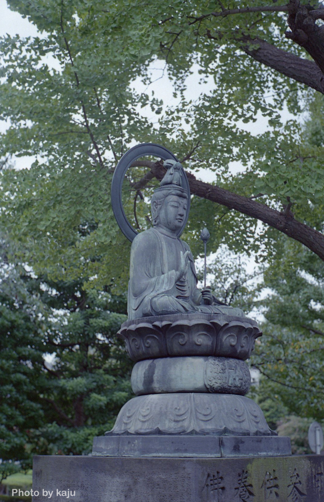 浅草寺　銅造観音菩薩坐像