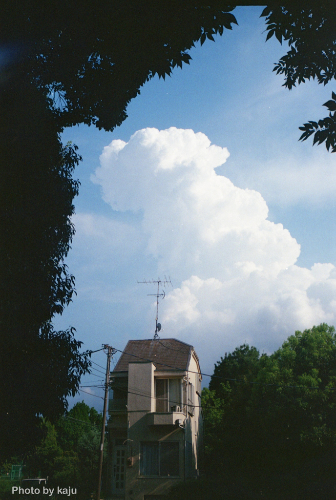 入道雲