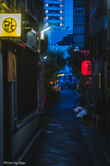路地裏✖️やきとり