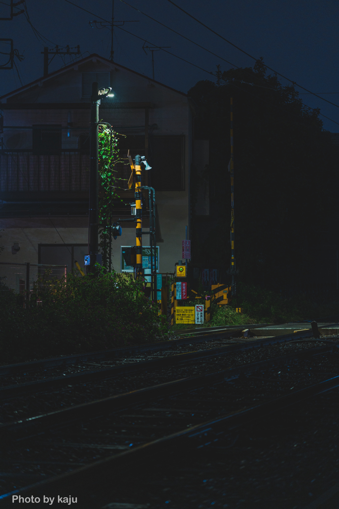 雨降る夜の踏切