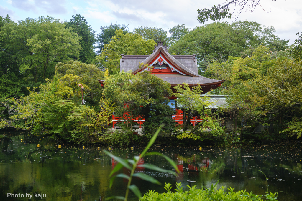 井の頭弁財天　大盛寺