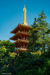 隙間から見える