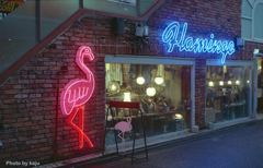 Flamingo