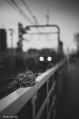 狙われてる