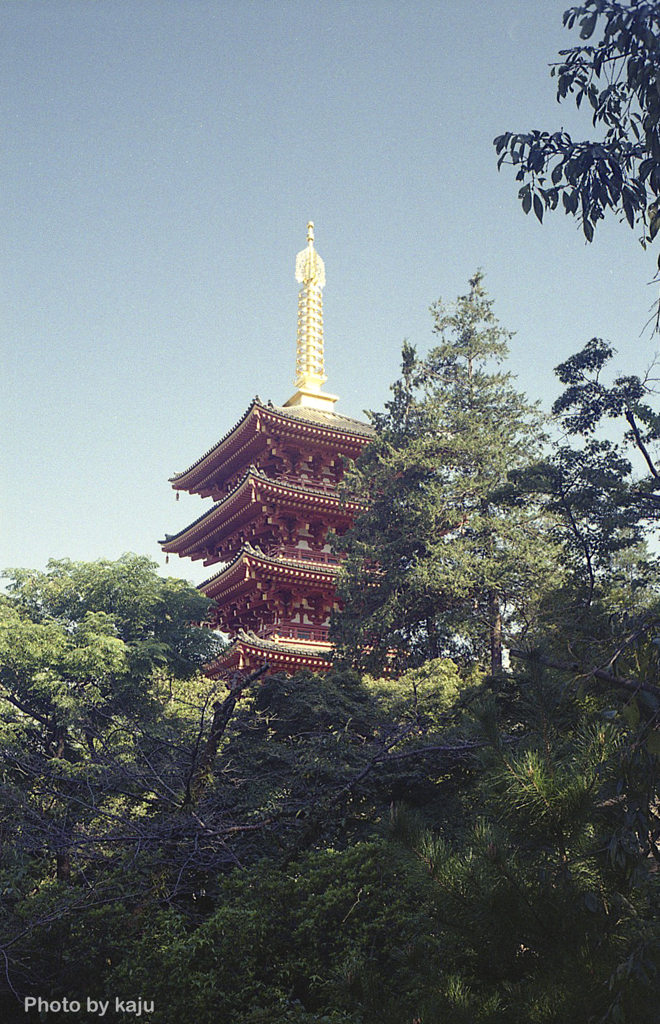 塔