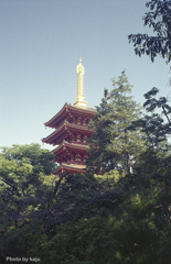 塔