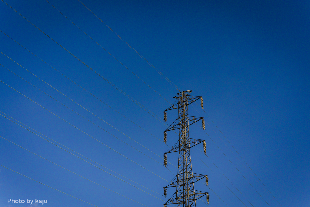 青色と電線