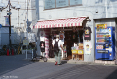 Swing Toys