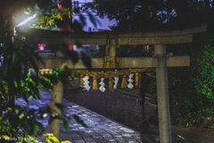 世田谷八幡宮
