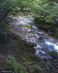 河辺を歩く