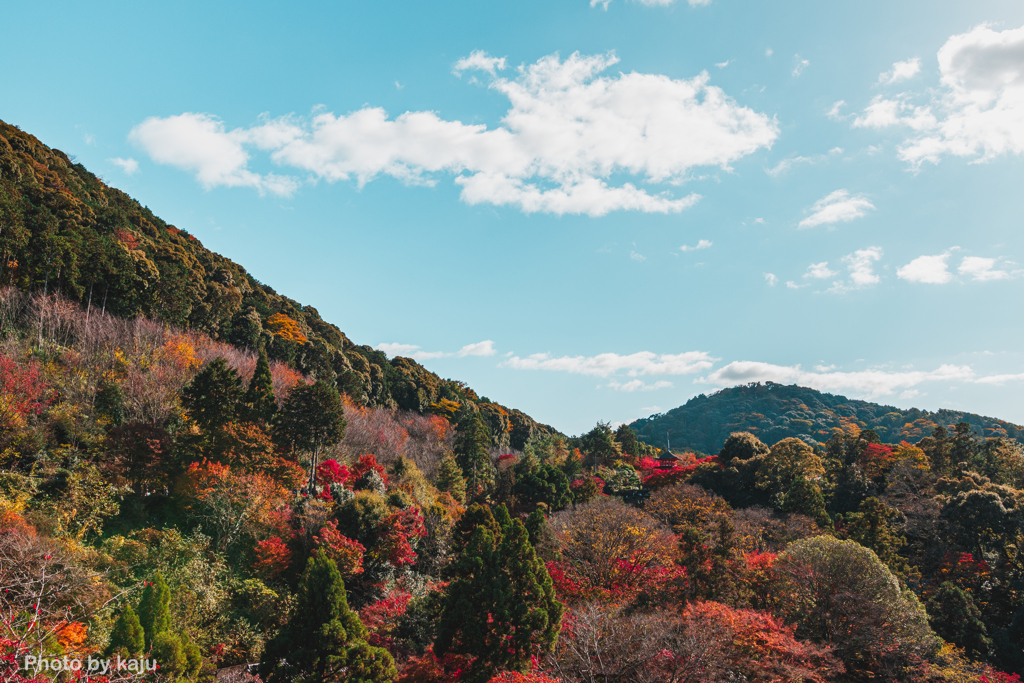 いつかの色彩