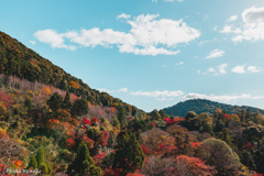 いつかの色彩