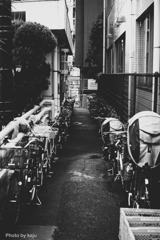 整列