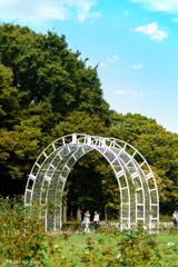 Gate