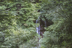 隙間から滝