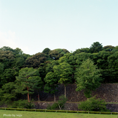 金沢城　本丸南面高石垣