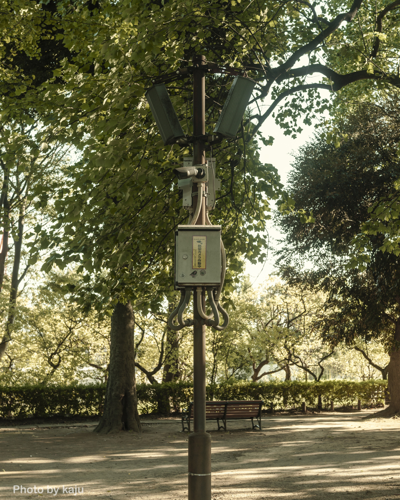Surveillance Camera