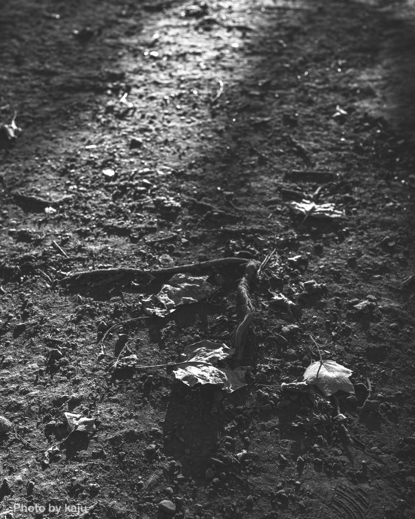 Ground