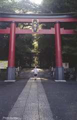鳥居